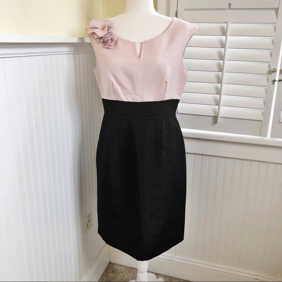 Sandra Darren Dresses & Skirts - Sandra Darren Pink & Black Ribbed Cocktail Dress